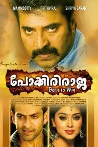  Неустрашимый Раджа (индийский фильм) (2010)